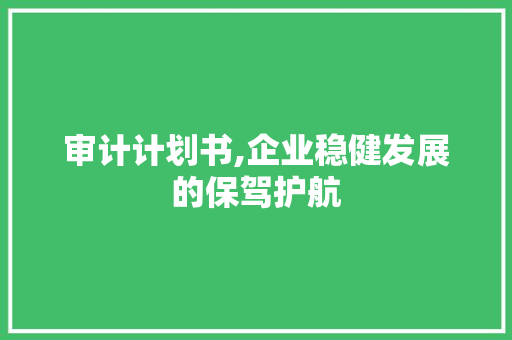审计计划书,企业稳健发展的保驾护航