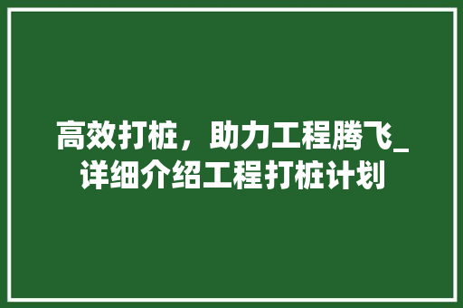 高效打桩，助力工程腾飞_详细介绍工程打桩计划