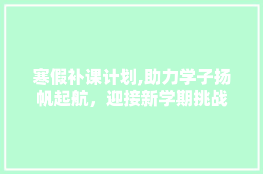 寒假补课计划,助力学子扬帆起航，迎接新学期挑战 短语