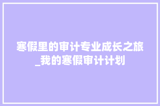 寒假里的审计专业成长之旅_我的寒假审计计划