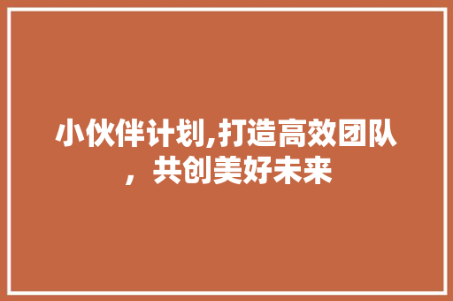 小伙伴计划,打造高效团队，共创美好未来