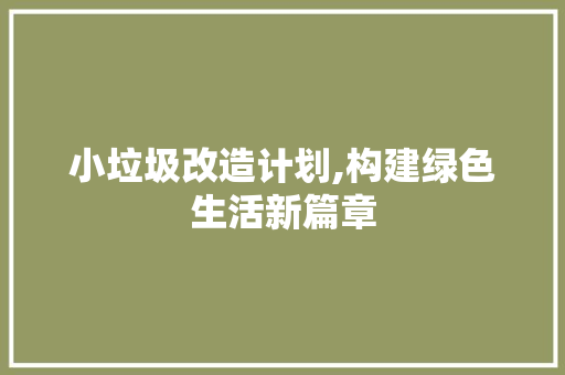小垃圾改造计划,构建绿色生活新篇章