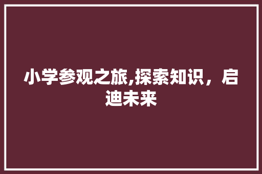小学参观之旅,探索知识，启迪未来