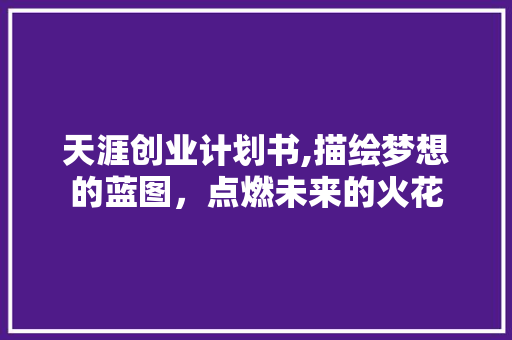 天涯创业计划书,描绘梦想的蓝图，点燃未来的火花