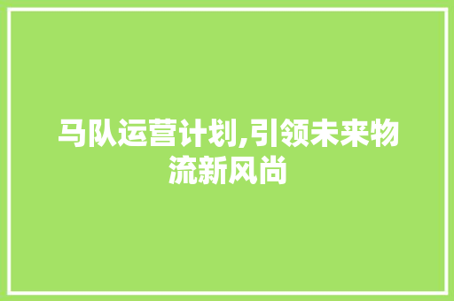 马队运营计划,引领未来物流新风尚