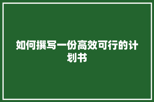 如何撰写一份高效可行的计划书