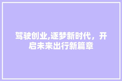 驾驶创业,逐梦新时代，开启未来出行新篇章