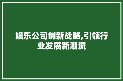 娱乐公司创新战略,引领行业发展新潮流