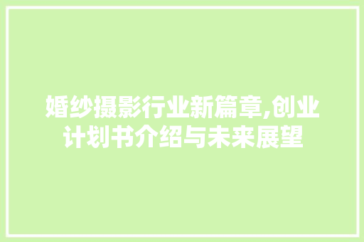 婚纱摄影行业新篇章,创业计划书介绍与未来展望