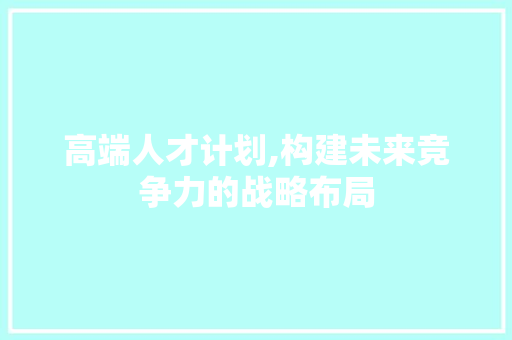 高端人才计划,构建未来竞争力的战略布局