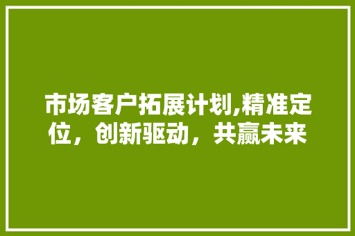 市场客户拓展计划,精准定位，创新驱动，共赢未来 问答