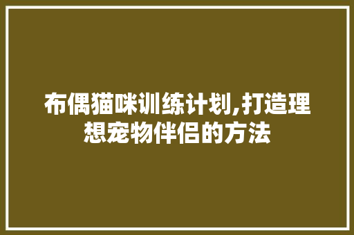 布偶猫咪训练计划,打造理想宠物伴侣的方法