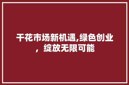 干花市场新机遇,绿色创业，绽放无限可能