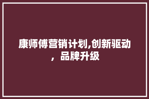 康师傅营销计划,创新驱动，品牌升级