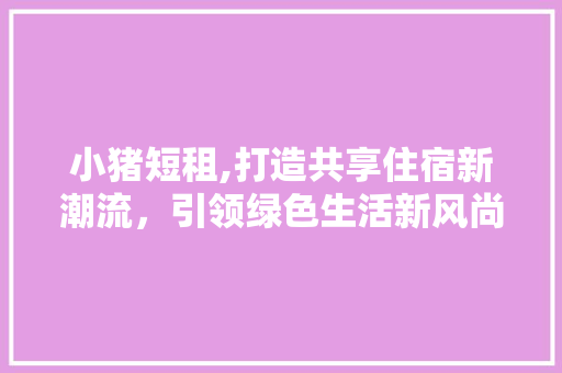 小猪短租,打造共享住宿新潮流，引领绿色生活新风尚