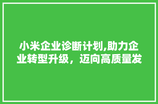 小米企业诊断计划,助力企业转型升级，迈向高质量发展