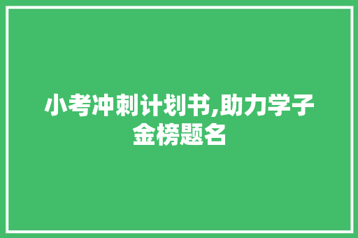 小考冲刺计划书,助力学子金榜题名