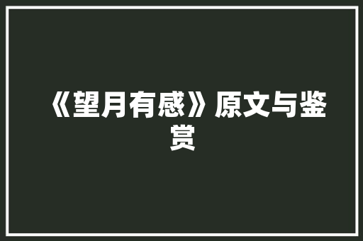 展望未来,鼓社计划引领新时代文化繁荣