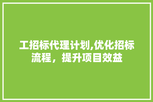 工招标代理计划,优化招标流程，提升项目效益