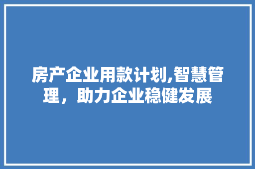 房产企业用款计划,智慧管理，助力企业稳健发展