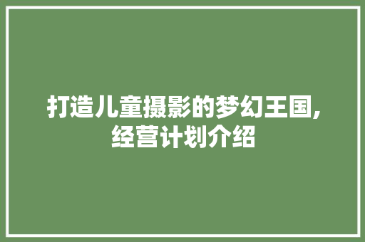 打造儿童摄影的梦幻王国,经营计划介绍 成语汇编