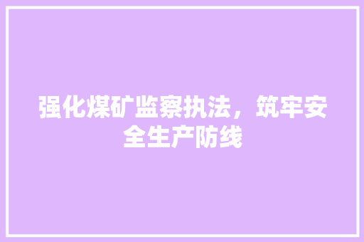 强化煤矿监察执法，筑牢安全生产防线