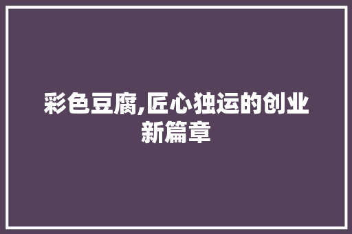 彩色豆腐,匠心独运的创业新篇章
