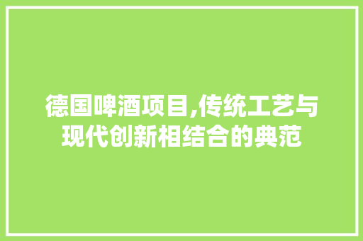 德国啤酒项目,传统工艺与现代创新相结合的典范