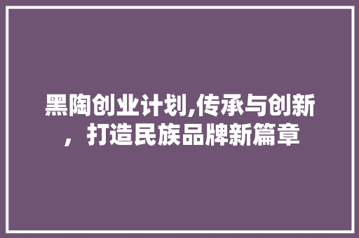 黑陶创业计划,传承与创新，打造民族品牌新篇章
