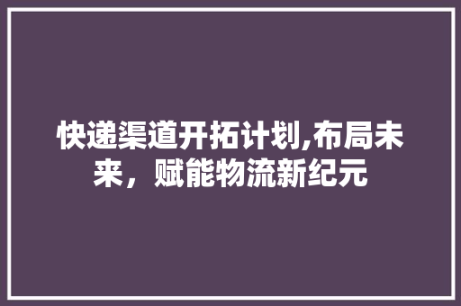 快递渠道开拓计划,布局未来，赋能物流新纪元