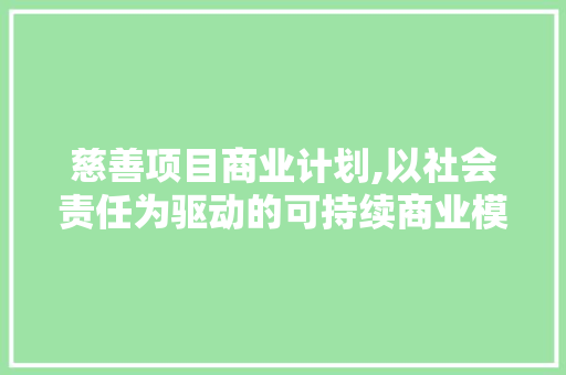 慈善项目商业计划,以社会责任为驱动的可持续商业模式