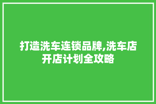 打造洗车连锁品牌,洗车店开店计划全攻略