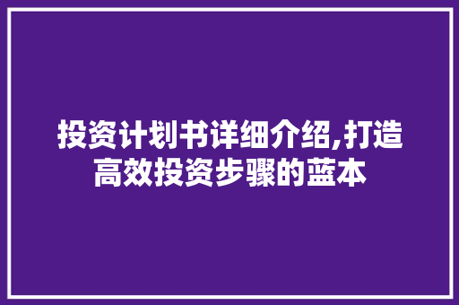 投资计划书详细介绍,打造高效投资步骤的蓝本 短语