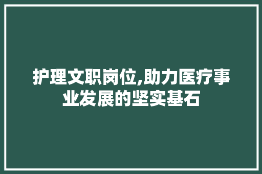 护理文职岗位,助力医疗事业发展的坚实基石 短语