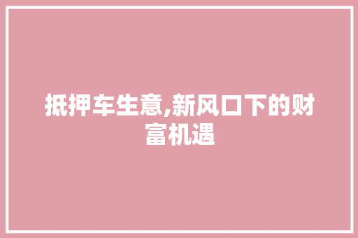 抵押车生意,新风口下的财富机遇