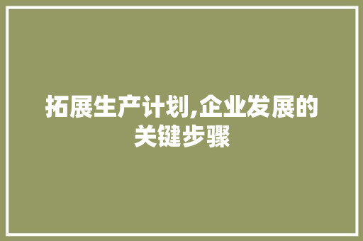 拓展生产计划,企业发展的关键步骤