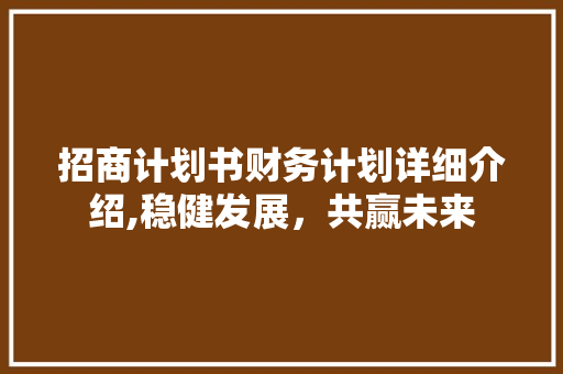 招商计划书财务计划详细介绍,稳健发展，共赢未来
