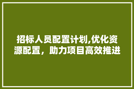 招标人员配置计划,优化资源配置，助力项目高效推进