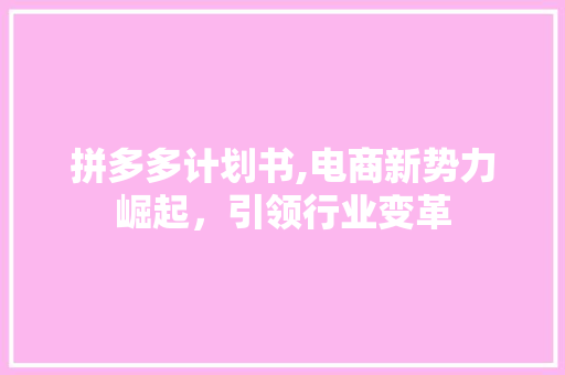 拼多多计划书,电商新势力崛起，引领行业变革