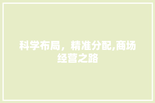 科学布局，精准分配,商场经营之路