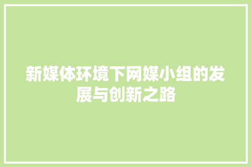 新媒体环境下网媒小组的发展与创新之路