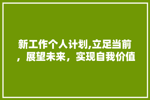 新工作个人计划,立足当前，展望未来，实现自我价值