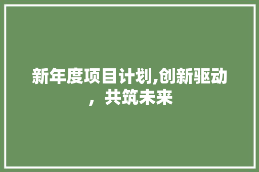 新年度项目计划,创新驱动，共筑未来 问答