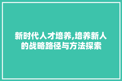 新时代人才培养,培养新人的战略路径与方法探索