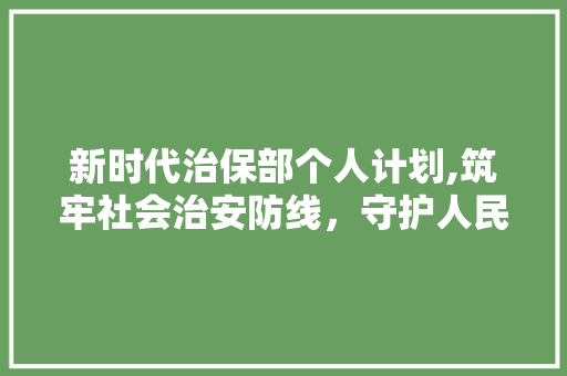 新时代治保部个人计划,筑牢社会治安防线，守护人民安宁生活