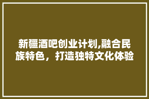 新疆酒吧创业计划,融合民族特色，打造独特文化体验空间