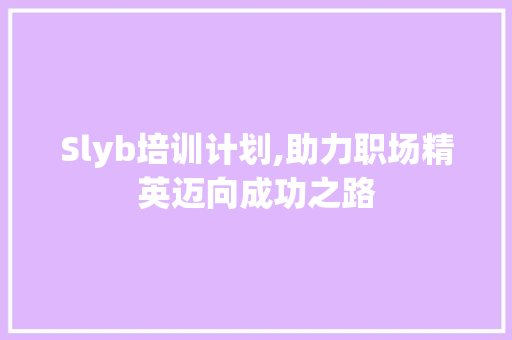 Slyb培训计划,助力职场精英迈向成功之路