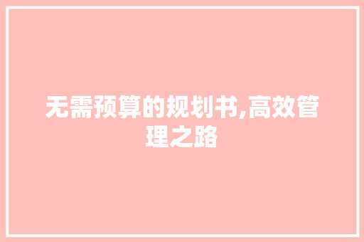 无需预算的规划书,高效管理之路
