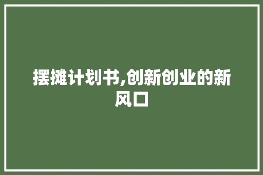 摆摊计划书,创新创业的新风口