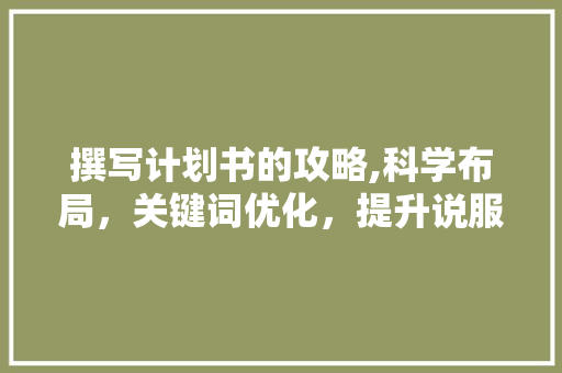 撰写计划书的攻略,科学布局，关键词优化，提升说服力